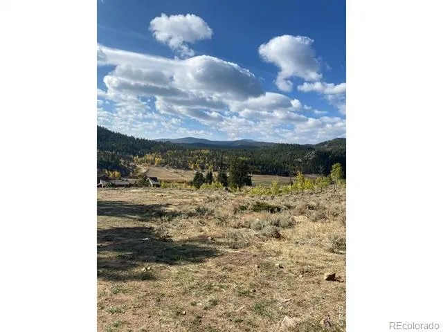 215 Murdock Drive Red Feather Lakes, CO 80545