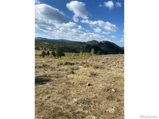 215 Murdock Drive Red Feather Lakes, CO 80545