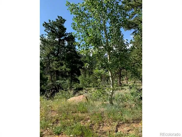 215 Murdock Drive Red Feather Lakes, CO 80545