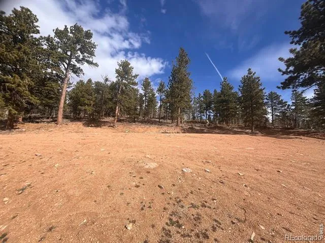 215 Murdock Drive Red Feather Lakes, CO 80545