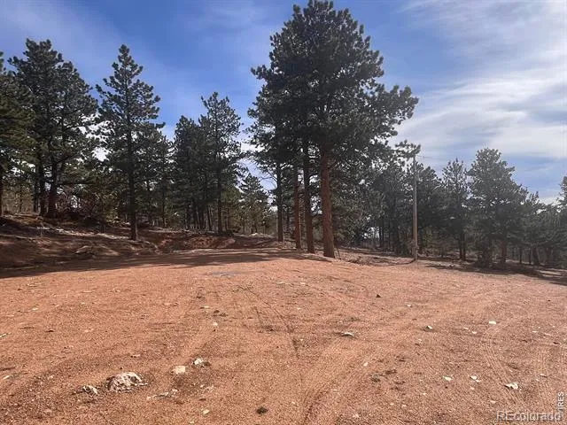 215 Murdock Drive Red Feather Lakes, CO 80545