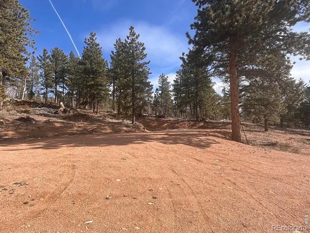 215 Murdock Drive Red Feather Lakes, CO 80545