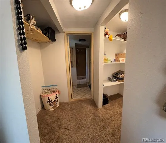 31254 2nd Street Gill, CO 80624