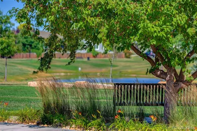 6259 Oak Grove Street Timnath, CO 80547
