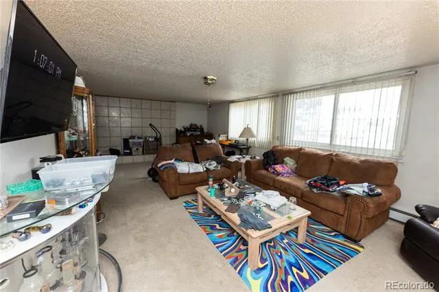 20 Mount Blanca Court Monte Vista, CO 81144