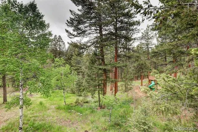 9209 William Cody Drive Evergreen, CO 80439
