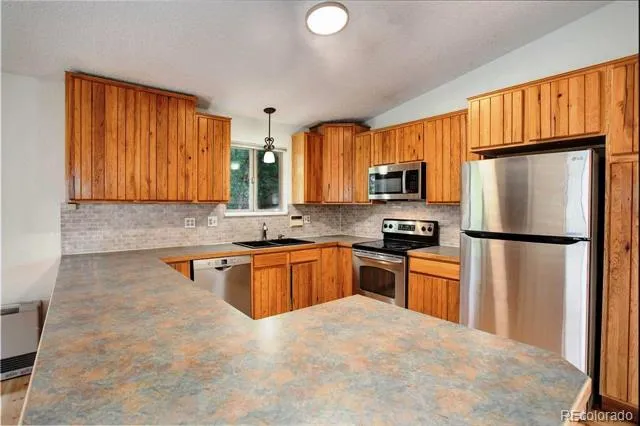 9209 William Cody Drive Evergreen, CO 80439