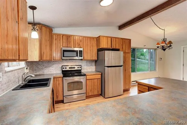 9209 William Cody Drive Evergreen, CO 80439