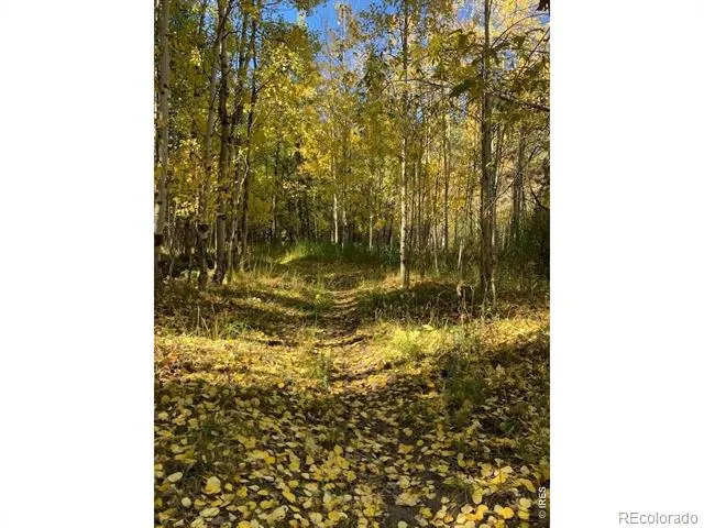 32048 Coal Creek Canyon Drive Golden, CO 80403