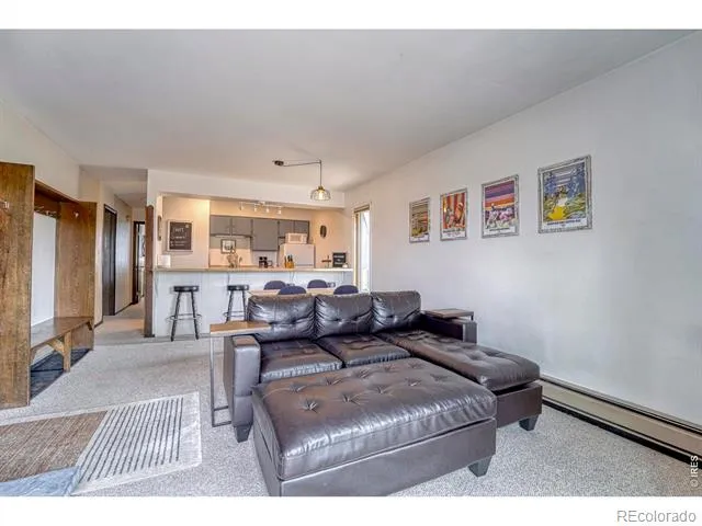 18 County Road 838 #1-5 Fraser, CO 80442