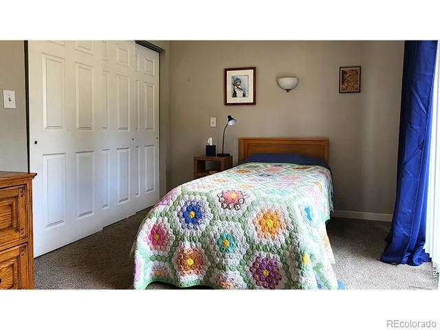 1002 Spruce Mountain Drive Drake, CO 80515