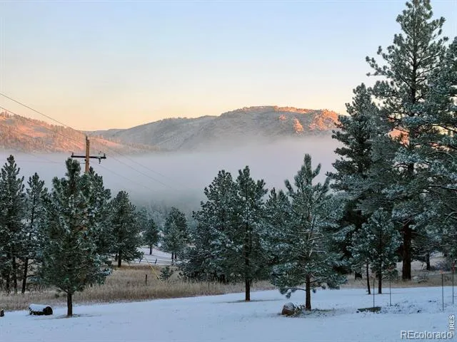 1002 Spruce Mountain Drive Drake, CO 80515