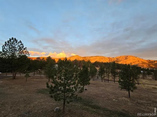 1002 Spruce Mountain Drive Drake, CO 80515