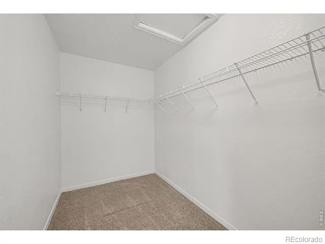552 S Carriage Drive Milliken, CO 80543