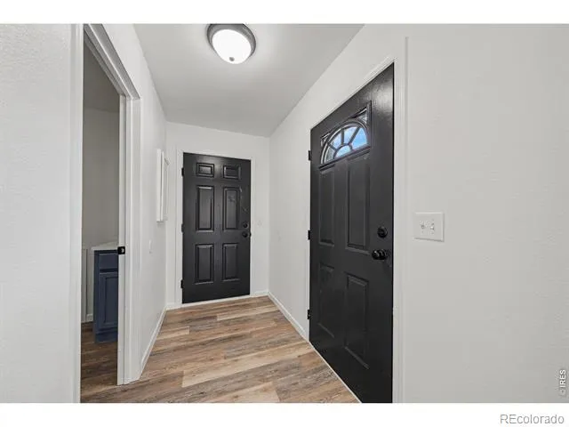 552 S Carriage Drive Milliken, CO 80543