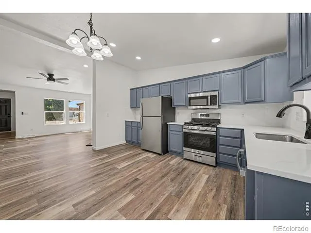 552 S Carriage Drive Milliken, CO 80543