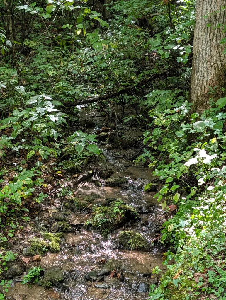 Hemlock Falls Road Franklin, NC 28734