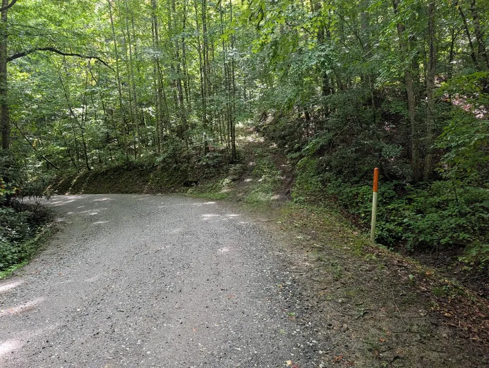 Hemlock Falls Road Franklin, NC 28734