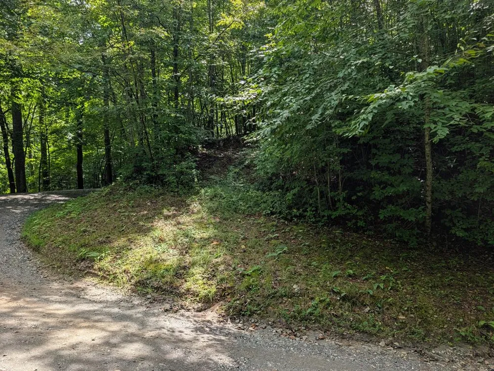 Hemlock Falls Road Franklin, NC 28734