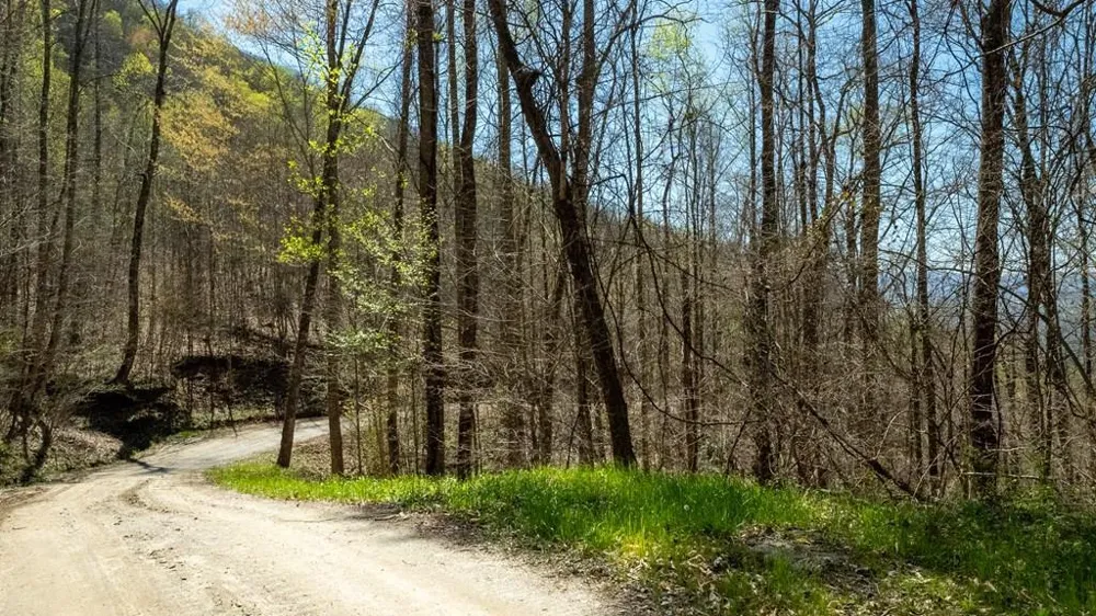 Hemlock Falls Road Franklin, NC 28734