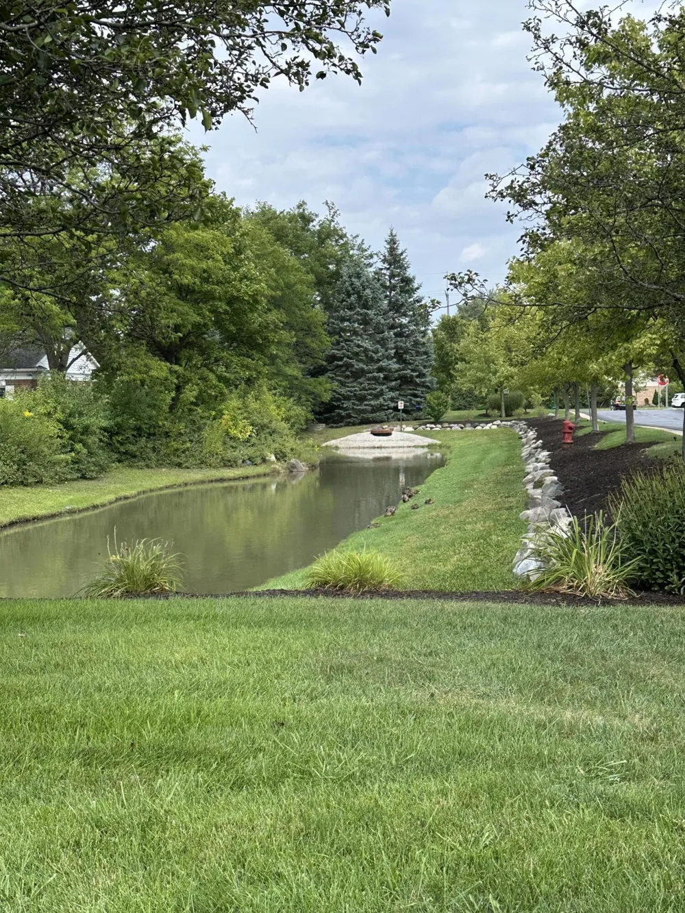 44539 Heather Lane Canton, MI 48187
