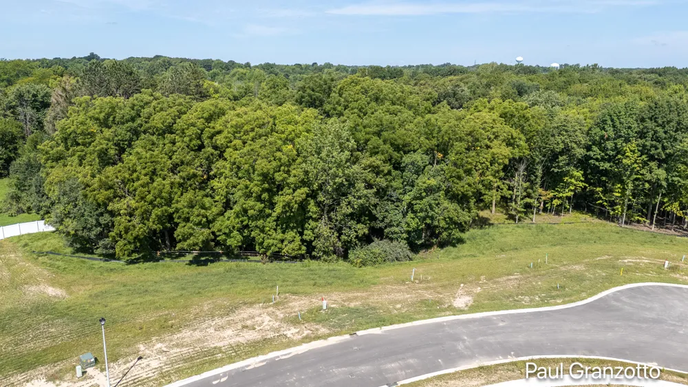 5561 Blackberry Bluff Kentwood, MI 49512