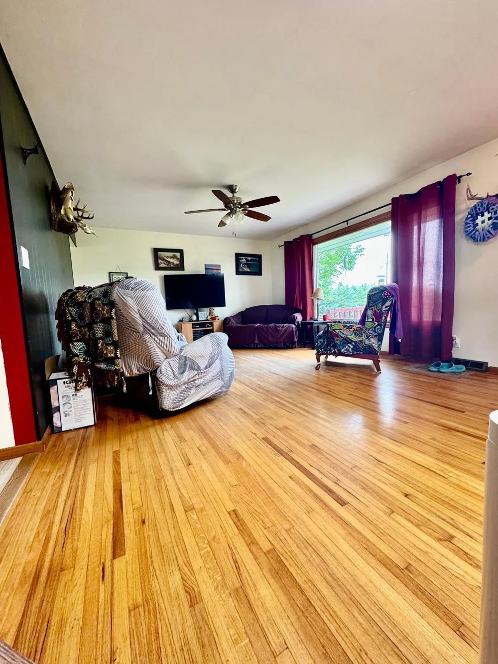 1003 50th Avenue NW Williams, MN 56686