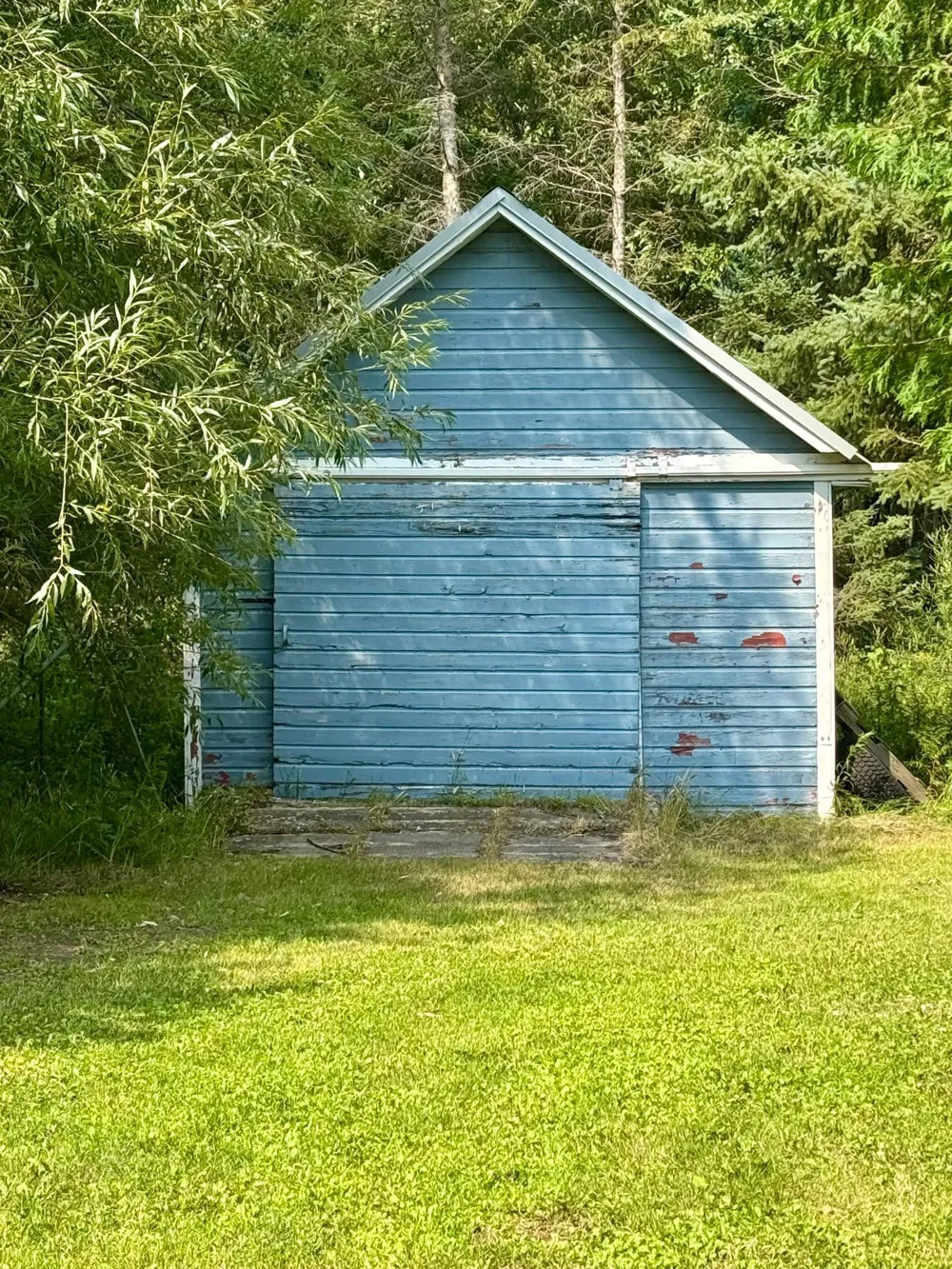 1003 50th Avenue NW Williams, MN 56686