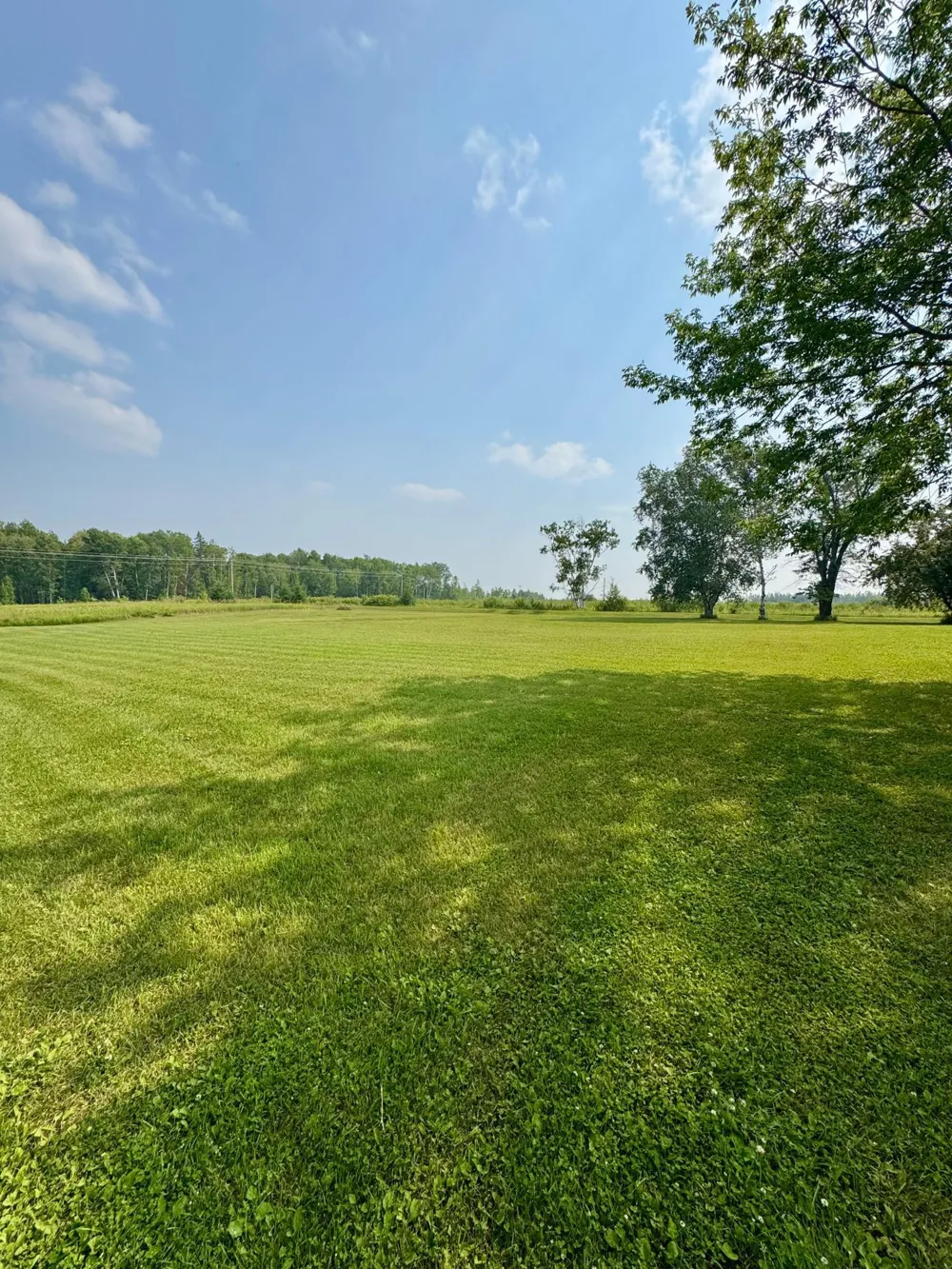 1003 50th Avenue NW Williams, MN 56686