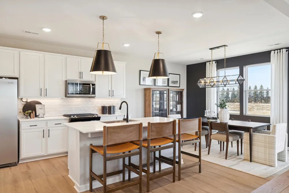 15165 Amber Fields Boulevard Rosemount, MN 55068