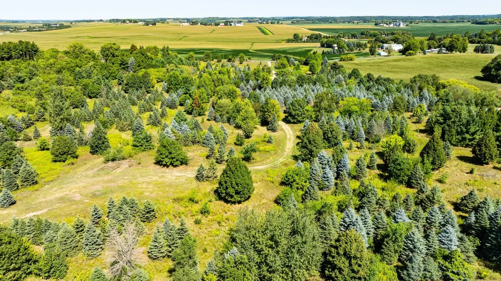 12843 80th Street S Hastings, MN 55033