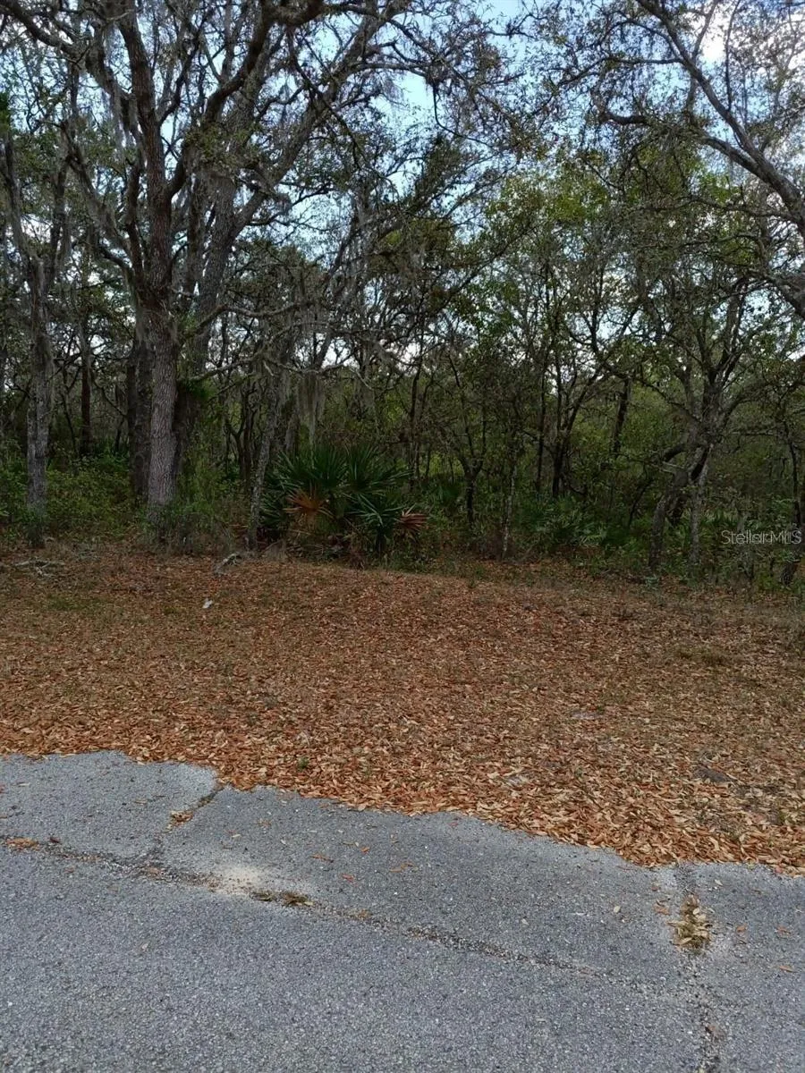 429 NAPLES COURT Kissimmee, FL 34759