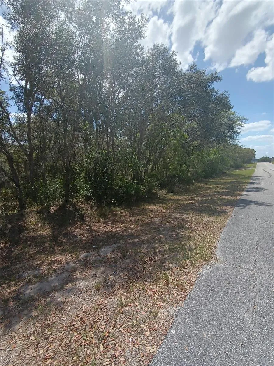 429 NAPLES COURT Kissimmee, FL 34759