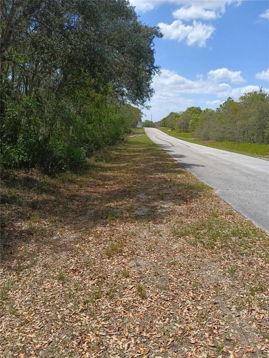 429 NAPLES COURT Kissimmee, FL 34759