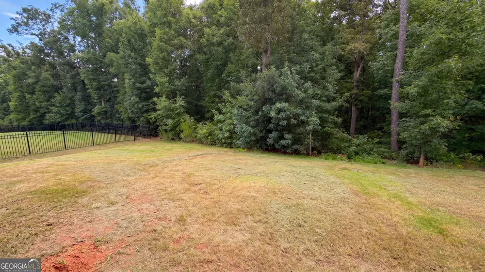 321 Basel WAY Hampton, GA 30228