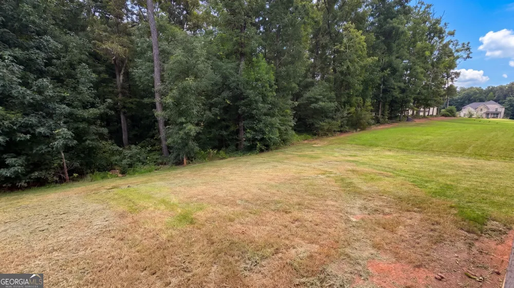321 Basel WAY Hampton, GA 30228