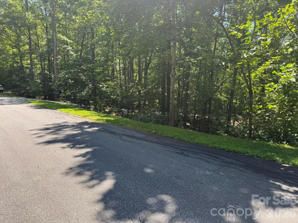 V/L Forest Country Drive #34 Marion, NC 28752