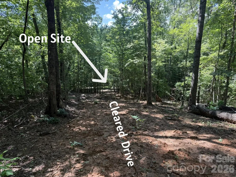 V/L Forest Country Drive #34 Marion, NC 28752