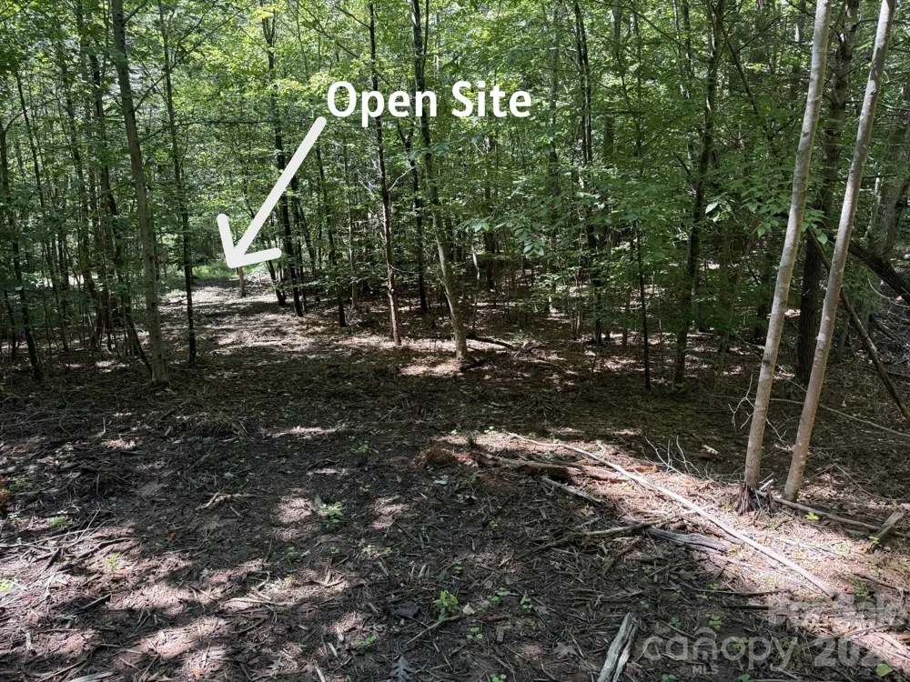 V/L Forest Country Drive #34 Marion, NC 28752