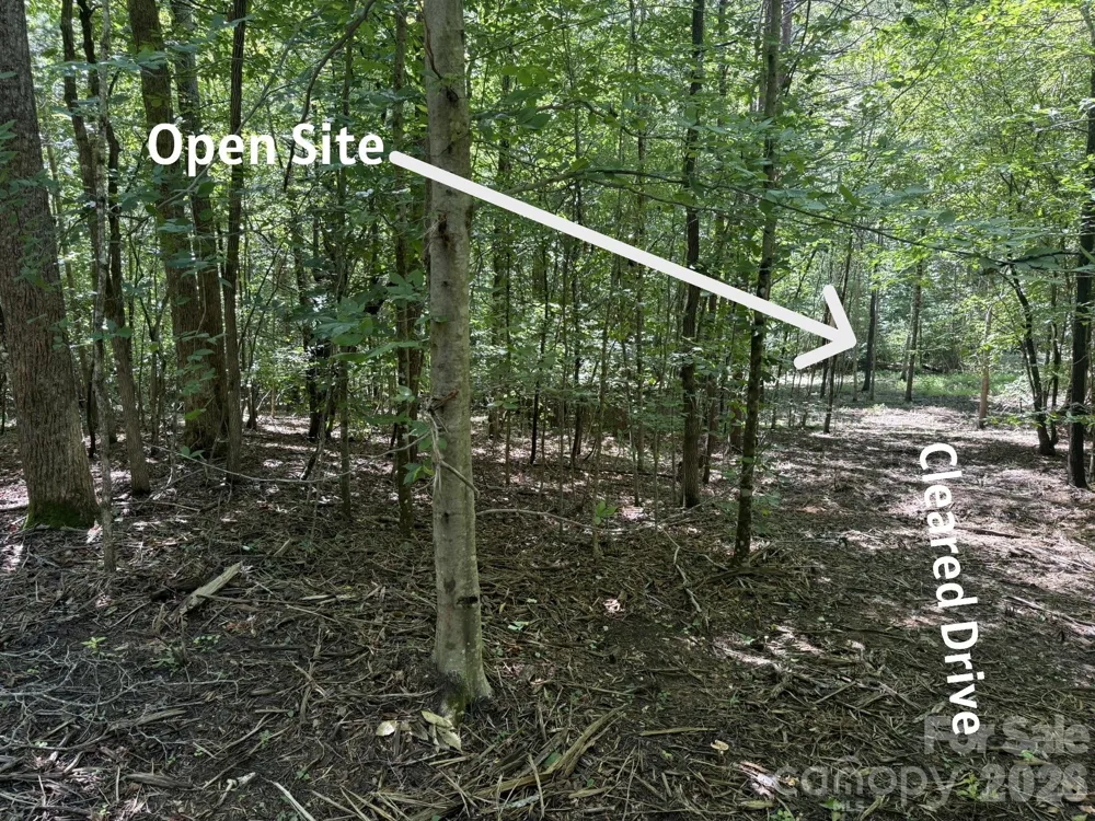 V/L Forest Country Drive #34 Marion, NC 28752