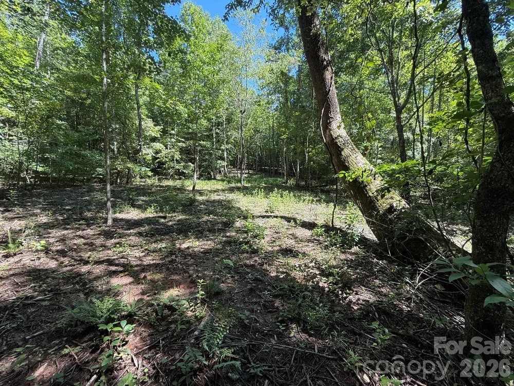 V/L Forest Country Drive #34 Marion, NC 28752
