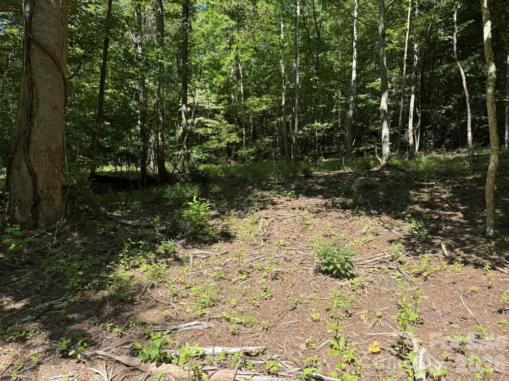 V/L Forest Country Drive #34 Marion, NC 28752