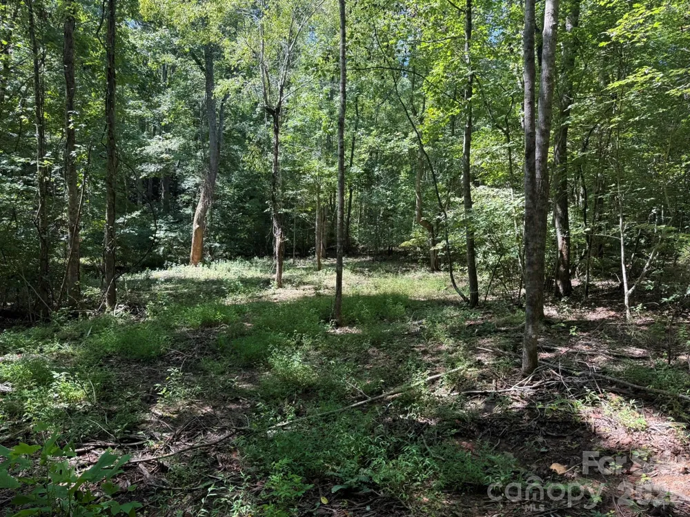 V/L Forest Country Drive #34 Marion, NC 28752