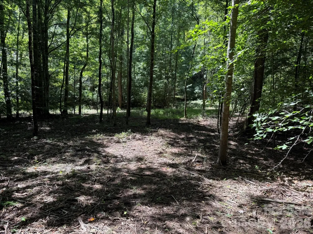 V/L Forest Country Drive #34 Marion, NC 28752