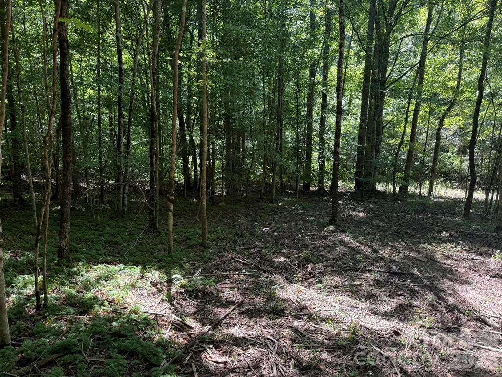 V/L Forest Country Drive #34 Marion, NC 28752