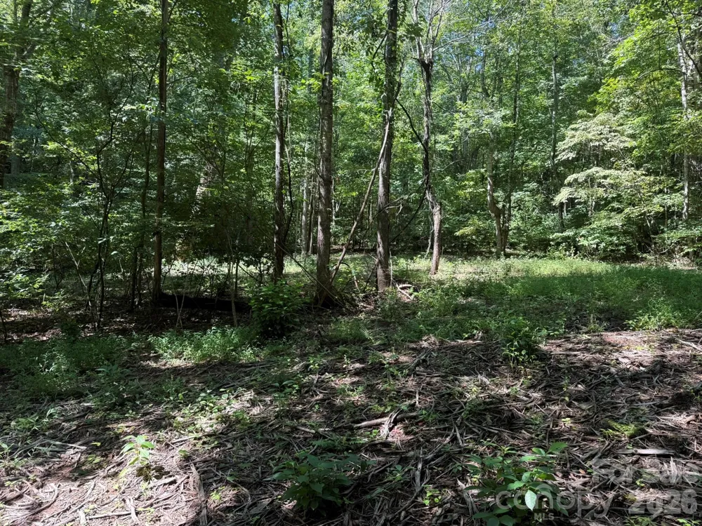 V/L Forest Country Drive #34 Marion, NC 28752