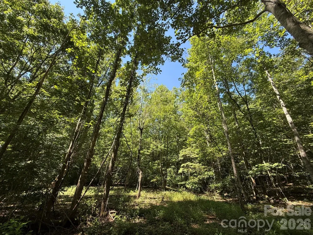 V/L Forest Country Drive #34 Marion, NC 28752