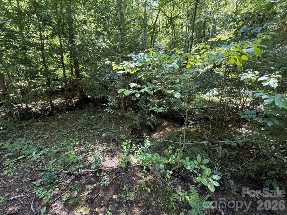 V/L Forest Country Drive #34 Marion, NC 28752