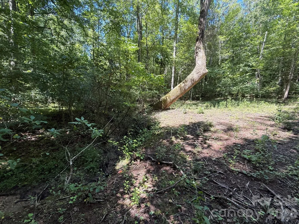 V/L Forest Country Drive #34 Marion, NC 28752