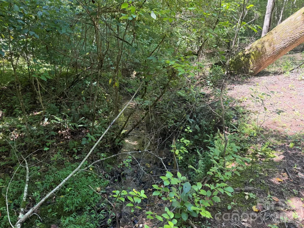 V/L Forest Country Drive #34 Marion, NC 28752